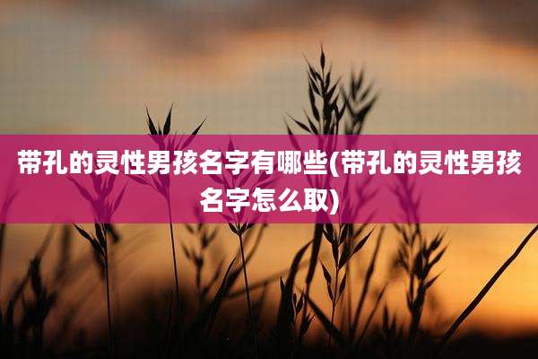 带孔的灵性男孩名字有哪些(带孔的灵性男孩名字怎么取)