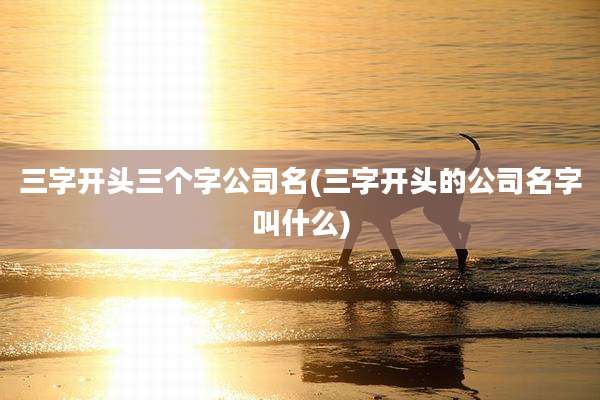 三字开头三个字公司名(三字开头的公司名字叫什么)