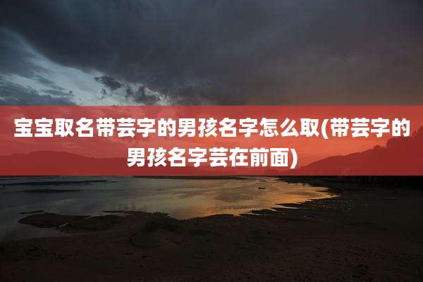宝宝取名带芸字的男孩名字怎么取(带芸字的男孩名字芸在前面)