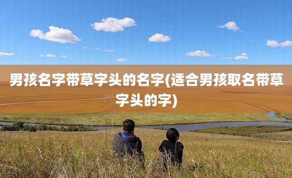 男孩名字带草字头的名字(适合男孩取名带草字头的字)
