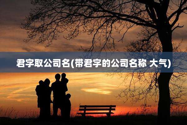 君字取公司名(带君字的公司名称 大气)