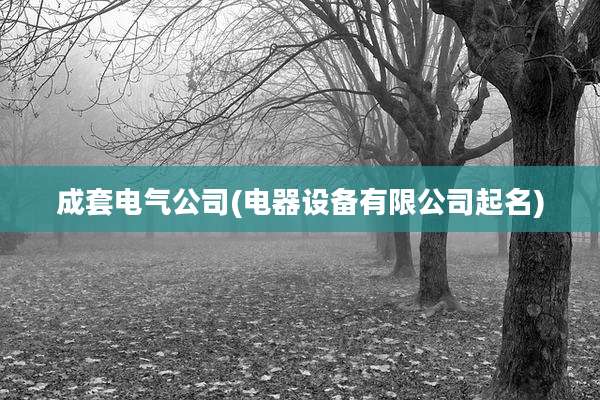 成套电气公司(电器设备有限公司起名)