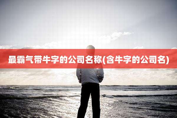 最霸气带牛字的公司名称(含牛字的公司名)