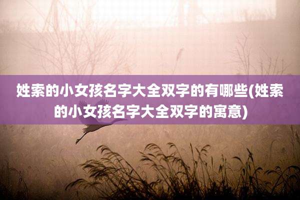姓索的小女孩名字大全双字的有哪些(姓索的小女孩名字大全双字的寓意)
