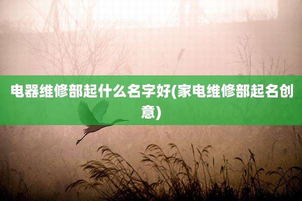 电器维修部起什么名字好(家电维修部起名创意)