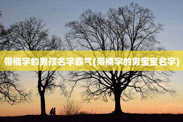 带楠字的男孩名字霸气(带楠字的男宝宝名字)