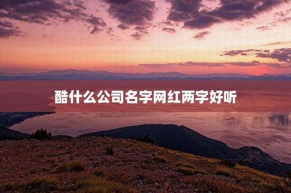 酷什么公司名字网红两字好听