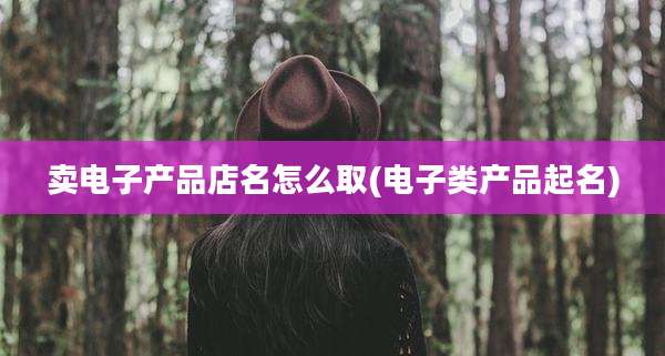 卖电子产品店名怎么取(电子类产品起名)