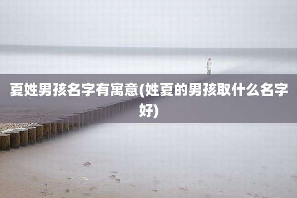 夏姓男孩名字有寓意(姓夏的男孩取什么名字好)