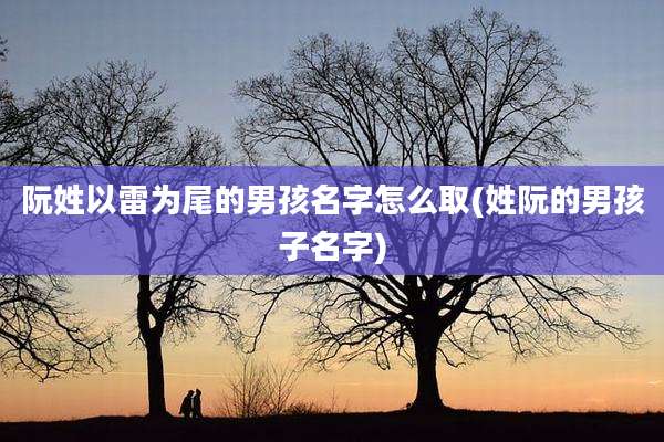 阮姓以雷为尾的男孩名字怎么取(姓阮的男孩子名字)