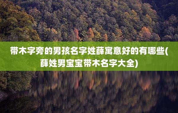 带木字旁的男孩名字姓薛寓意好的有哪些(薛姓男宝宝带木名字大全)