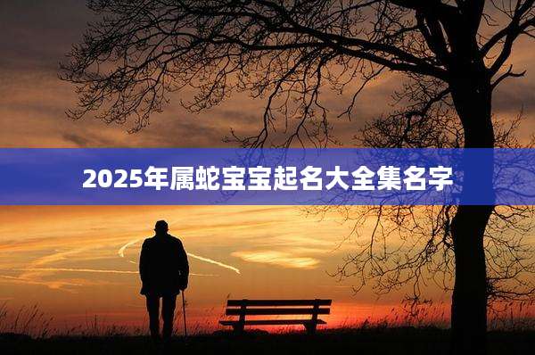 2025年属蛇宝宝起名大全集名字