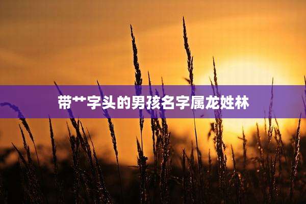 带艹字头的男孩名字属龙姓林