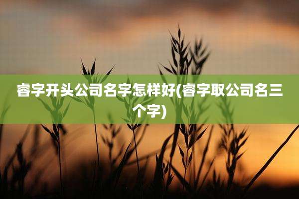 睿字开头公司名字怎样好(睿字取公司名三个字)