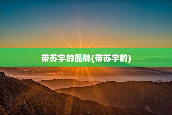 带苏字的品牌(带苏字的)