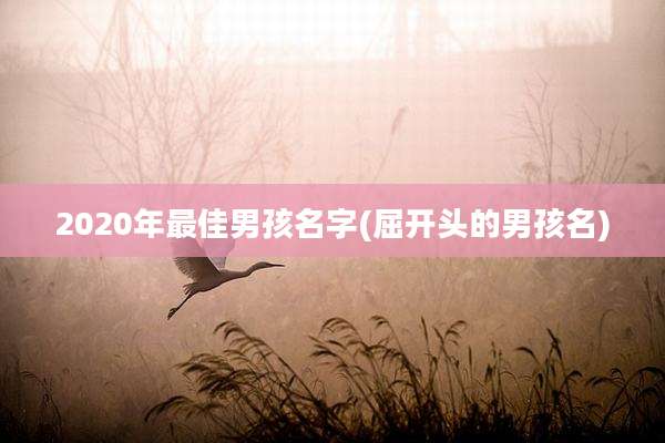 2020年最佳男孩名字(屈开头的男孩名)