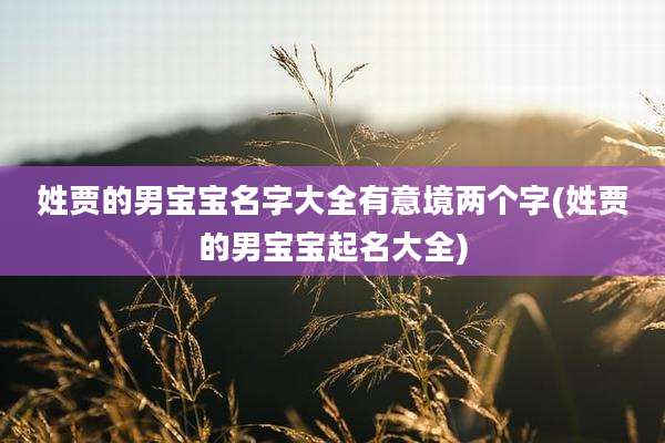 姓贾的男宝宝名字大全有意境两个字(姓贾的男宝宝起名大全)