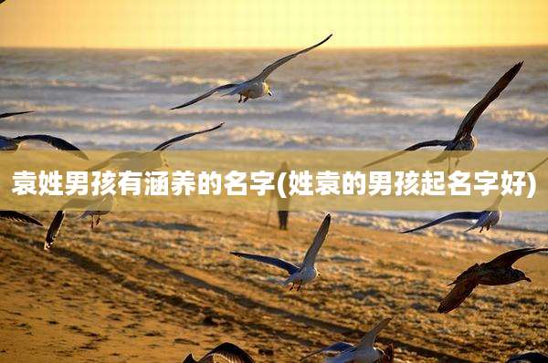 袁姓男孩有涵养的名字(姓袁的男孩起名字好)