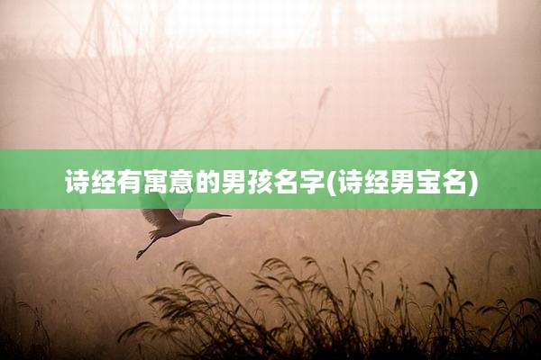 诗经有寓意的男孩名字(诗经男宝名)