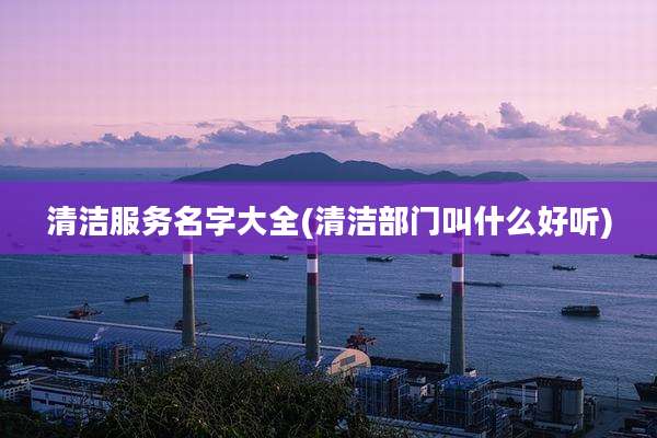 清洁服务名字大全(清洁部门叫什么好听)