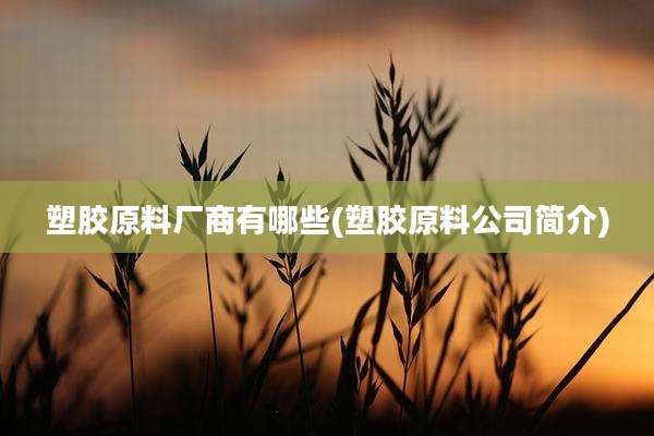 塑胶原料厂商有哪些(塑胶原料公司简介)