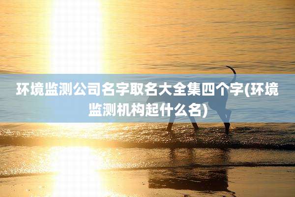 环境监测公司名字取名大全集四个字(环境监测机构起什么名)