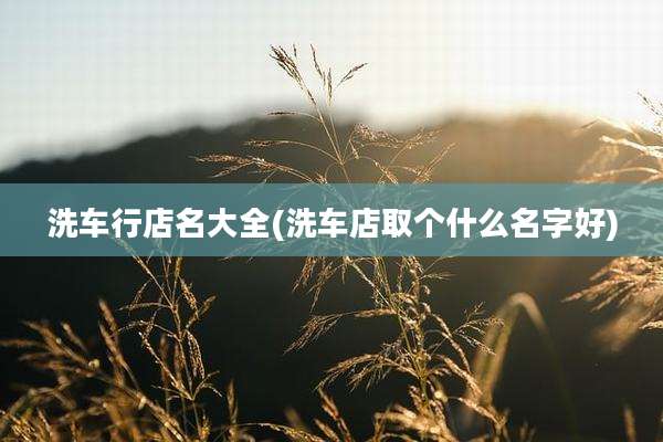 洗车行店名大全(洗车店取个什么名字好)
