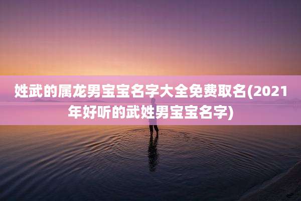 姓武的属龙男宝宝名字大全免费取名(2021年好听的武姓男宝宝名字)