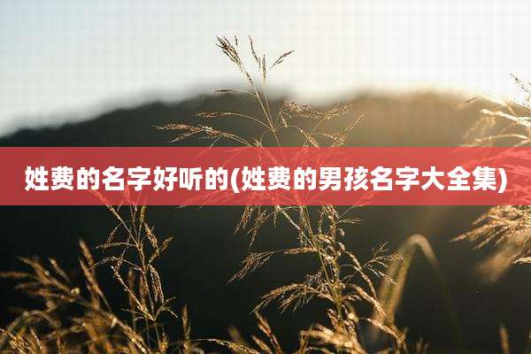 姓费的名字好听的(姓费的男孩名字大全集)