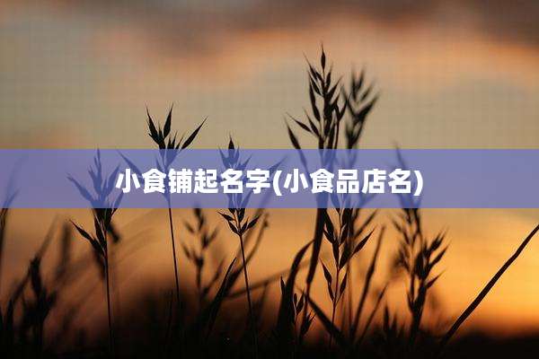 小食铺起名字(小食品店名)