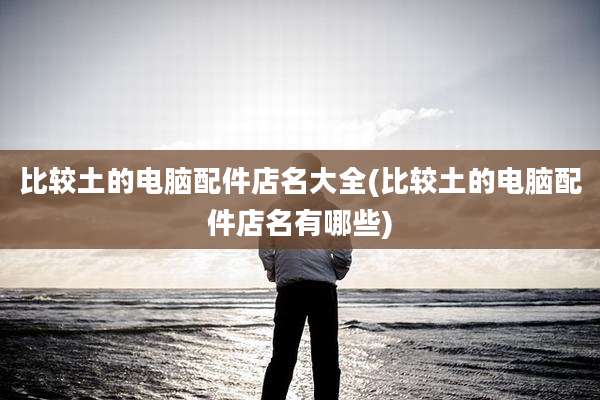 比较土的电脑配件店名大全(比较土的电脑配件店名有哪些)