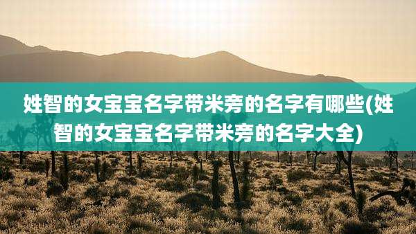 姓智的女宝宝名字带米旁的名字有哪些(姓智的女宝宝名字带米旁的名字大全)