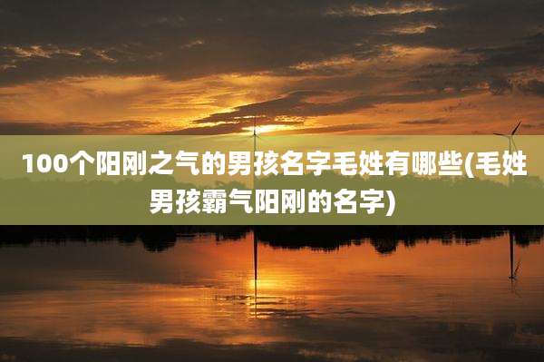 100个阳刚之气的男孩名字毛姓有哪些(毛姓男孩霸气阳刚的名字)