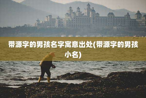 带源字的男孩名字寓意出处(带源字的男孩小名)
