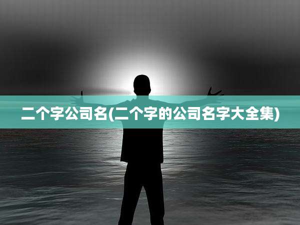 二个字公司名(二个字的公司名字大全集)