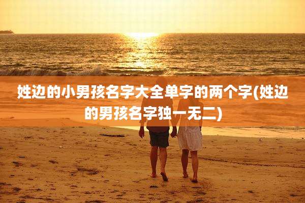姓边的小男孩名字大全单字的两个字(姓边的男孩名字独一无二)