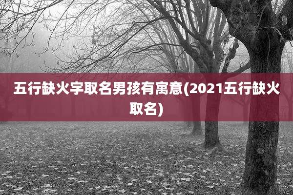 五行缺火字取名男孩有寓意(2021五行缺火取名)