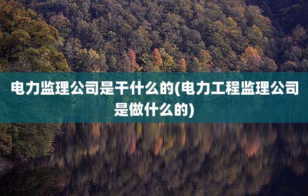 电力监理公司是干什么的(电力工程监理公司是做什么的)