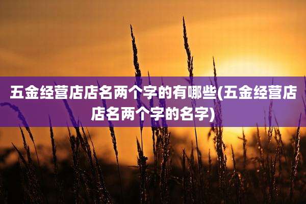 五金经营店店名两个字的有哪些(五金经营店店名两个字的名字)