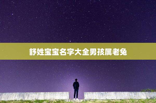 舒姓宝宝名字大全男孩属老兔