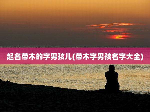 起名带木的字男孩儿(带木字男孩名字大全)