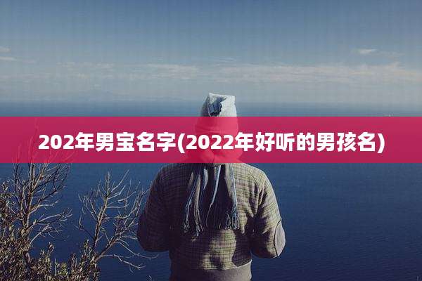 202年男宝名字(2022年好听的男孩名)