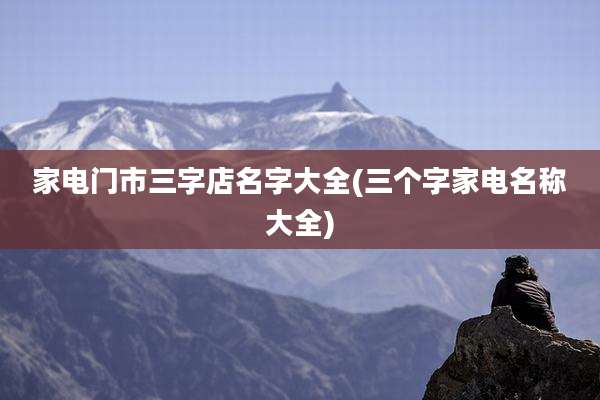 家电门市三字店名字大全(三个字家电名称大全)