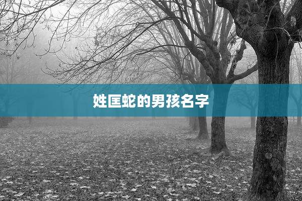 姓匡蛇的男孩名字