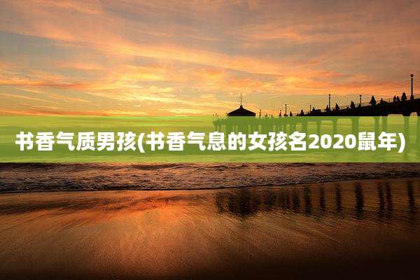 书香气质男孩(书香气息的女孩名2020鼠年)