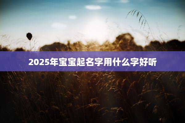 2025年宝宝起名字用什么字好听