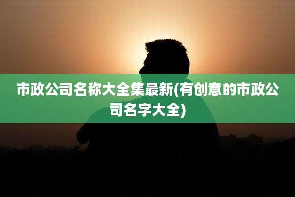 市政公司名称大全集最新(有创意的市政公司名字大全)