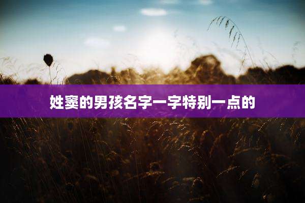 姓窦的男孩名字一字特别一点的