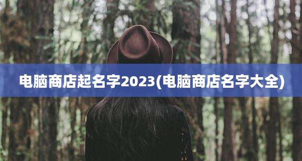 电脑商店起名字2023(电脑商店名字大全)