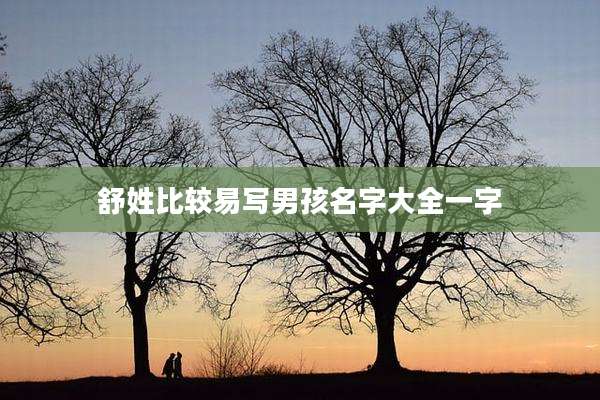 舒姓比较易写男孩名字大全一字
